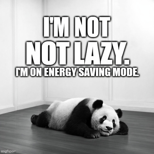 Lazy Panda