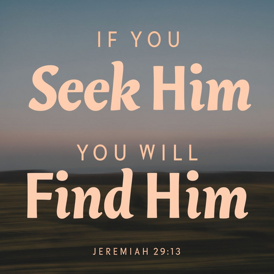 Seek and You Will Find